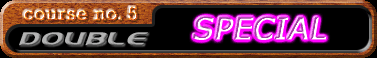 special_dp